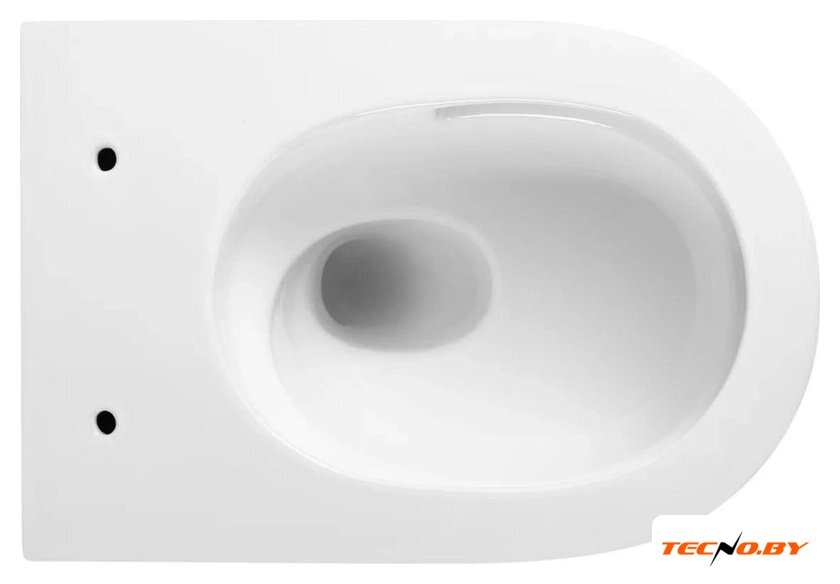 Унитаз подвесной Berges Wasserhaus Tornas Rimless + Atom 410 АТ-043331 (с кнопкой Atom белый) - Изображение №4 — Интернет-Магазин TECNO.BY