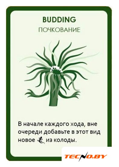 Настольная игра Правильные игры Эволюция. Случайные мутации - Изображение №12 — Интернет-Магазин TECNO.BY