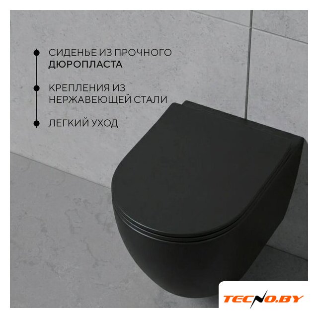 Унитаз подвесной Lauter Augsburg 21109EC + I012703.0251 (черный матовый с кнопкой смыва) - Изображение №4 — Интернет-Магазин TECNO.BY