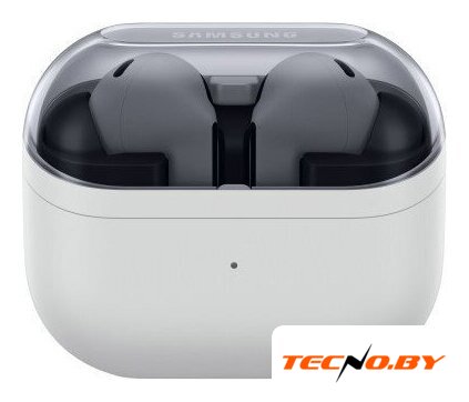 Наушники Samsung Galaxy Buds 3 FE (серый) - Изображение №2 — Интернет-Магазин TECNO.BY