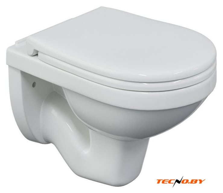 Унитаз подвесной Berges Wasserhaus Gamma 081005 - Изображение №1 — Интернет-Магазин TECNO.BY