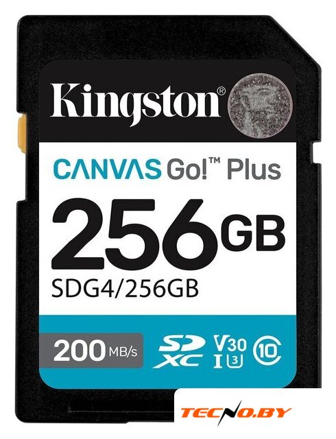 Карта памяти Kingston Canvas Go! Plus SDXC 256GB SDG4/256GB - Изображение №1 — Интернет-Магазин TECNO.BY