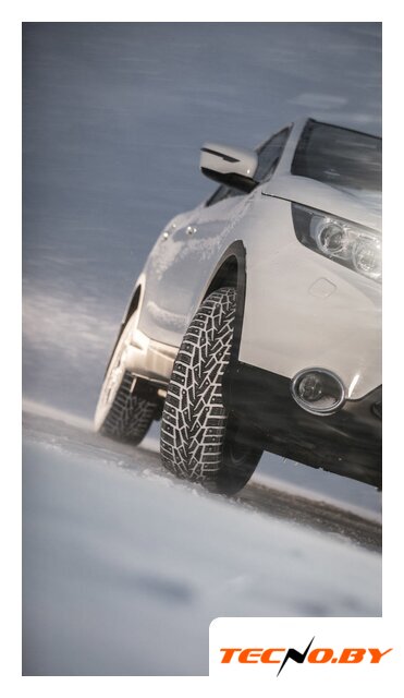 Зимние шины Nokian Tyres Nordman 7 SUV 215/65R16 102T (шипы) - Изображение №6 — Интернет-Магазин TECNO.BY