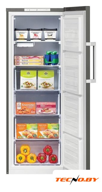 Морозильник BEKO RFSK215T01G - Изображение №2 — Интернет-Магазин TECNO.BY