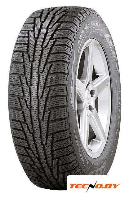 Зимние шины Ikon Nordman RS2 SUV 225/60R18 104R - Изображение №1 — Интернет-Магазин TECNO.BY
