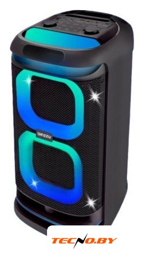 Беспроводная колонка Ginzzu GM-117 - Изображение №1 — Интернет-Магазин TECNO.BY