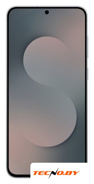 Телефон Samsung Galaxy S25 FE SM-S731B 8GB/256GB (черный) - Изображение №2 — Интернет-Магазин TECNO.BY