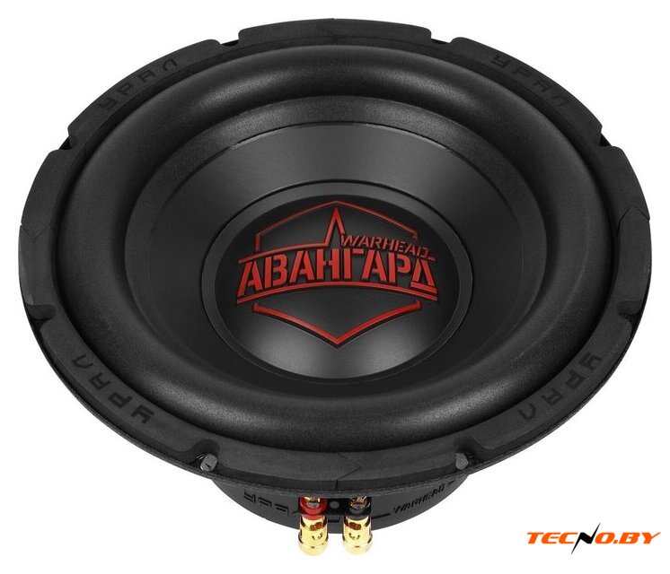 Головка сабвуфера Урал Авангард 10 - Изображение №3 — Интернет-Магазин TECNO.BY