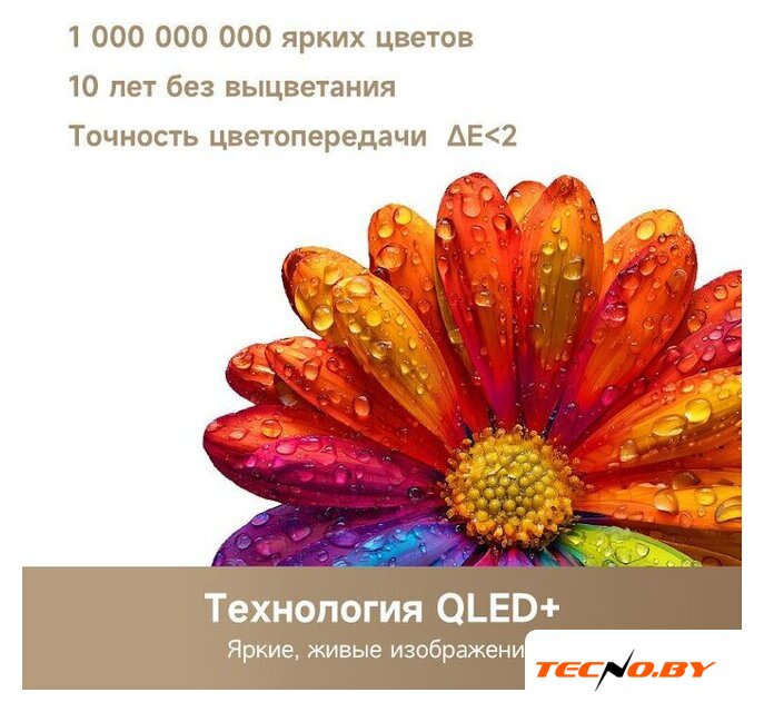 Телевизор Dreame 32Q10 - Изображение №5 — Интернет-Магазин TECNO.BY