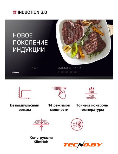 Варочная панель Hansa BHI67116 - Изображение №2 — Интернет-Магазин TECNO.BY