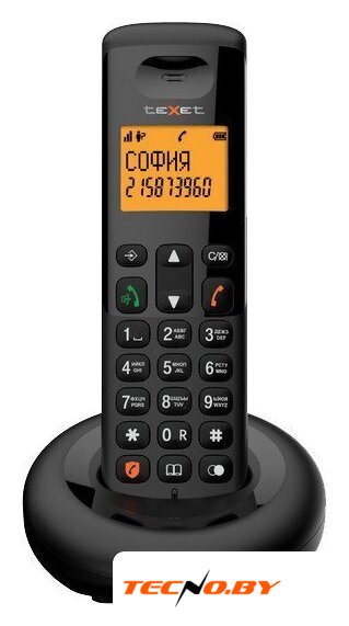 Радиотелефон TeXet TX-D4905A (черный) - Изображение №1 — Интернет-Магазин TECNO.BY