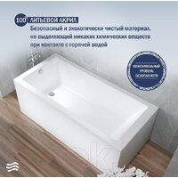 Lauter Athena 170x80 21090080 (с ножками и лицевым экраном) Image #4