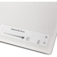 Zigmund & Shtain CI 24.4 W Image #3