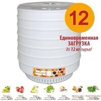 Спектр-Прибор Ветерок-2 Люкс (8 поддонов, белый) Image #3