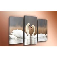 Arthata m-000327 75x50