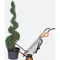 Двухколесная тачка Worx WG050 Aerocart - Превью изображения №4 — Интернет-Магазин TECNO.BY