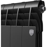 Royal Thermo Biliner Alum 500 Noir Sable (4 секции) Image #3