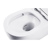 Roxen Porto в комплекте с инсталляцией StounFix Dual Fresh 6 в 1 868474 (кнопка: золото глянцевая) Image #14