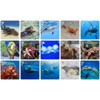 Нескучные игры Ми-Ми-Мемо Морские животные 8053 Image #5