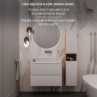 ЗОВ Тумба под умывальник Дион 80 D80LHO0M9003MKV5-LDSPW (белый матовый/дуб) Image #10