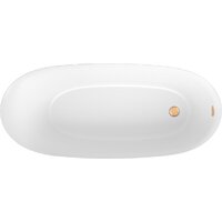 Wellsee Panta Rei 168x73 23720104R (отдельностоящая ванна белый глянец, экран, ножки, сифон-автомат золото) Image #3