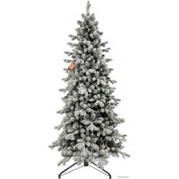 Winter Time KU07-1167TS 2.1 м