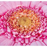 Intex Pink Daisy Flower Mat 58787 Image #3