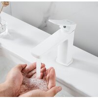 Shevanik S9901C Image #10