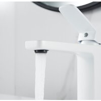 Shevanik S9901C Image #4