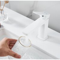 Shevanik S9901C Image #9