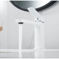 Shevanik S9901C Image #2