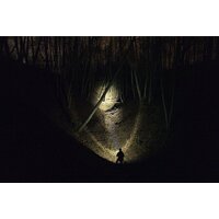 Armytek Bear WRG Image #7