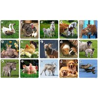 Нескучные игры Ми-Ми-Мемо Домашние животные 8051 Image #4