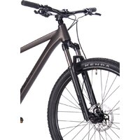 Aspect Cobalt 29 M 2025 (серый, разобранный) Image #7