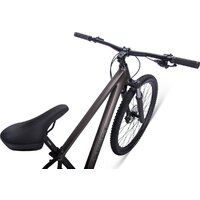 Aspect Cobalt 29 M 2025 (серый, разобранный) Image #8