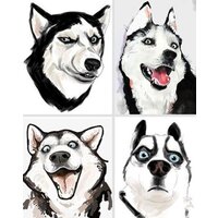 Молли Мемчики. Хаски-шутник 40x50 HR0675