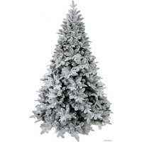 Winter Time XTT07-1791TS 2.1 м