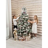 National Tree Company Сказка заснеженная СК/ЗСН-190 1.9 м Image #7