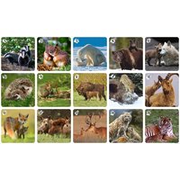 Нескучные игры Ми-Ми-Мемо Дикие животные 8050 Image #5