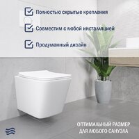 Lauter Square 214903 с кнопкой 219701J (прямоугольная, хром) Image #7