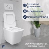 Lauter Square 214903 с кнопкой 219701J (прямоугольная, хром) Image #6