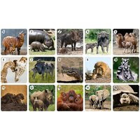 Нескучные игры Ми-Ми-Мемо Африка 8049 Image #4