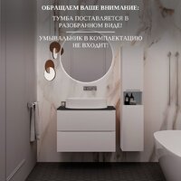 ЗОВ Тумба под умывальник Дион 70 D70LWP0M9003MKV5-LDSPG (антрацит/белый матовый) Image #10