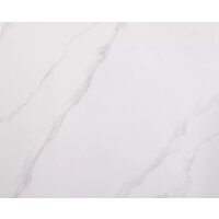 Signal Rion 80/80 (белый лак/черный) Image #5