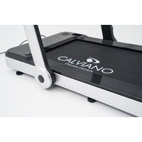 Calviano Palmer Image #12