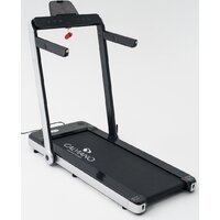 Calviano Palmer Image #2