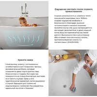 Wellsee FR.Euphoria 166x77,5 230101002 (отдельностоящая ванна белый глянец, экран, ножки золото) Image #6