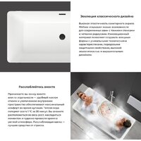 Wellsee FR.Euphoria 166x77,5 230101002 (отдельностоящая ванна белый глянец, экран, ножки золото) Image #5
