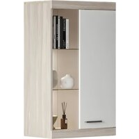 Black Red White Linn Со стеклом 100x60x36 (ясень шимо/белый)