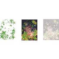 Феникс+ Девушка со звездами 67963 Image #2